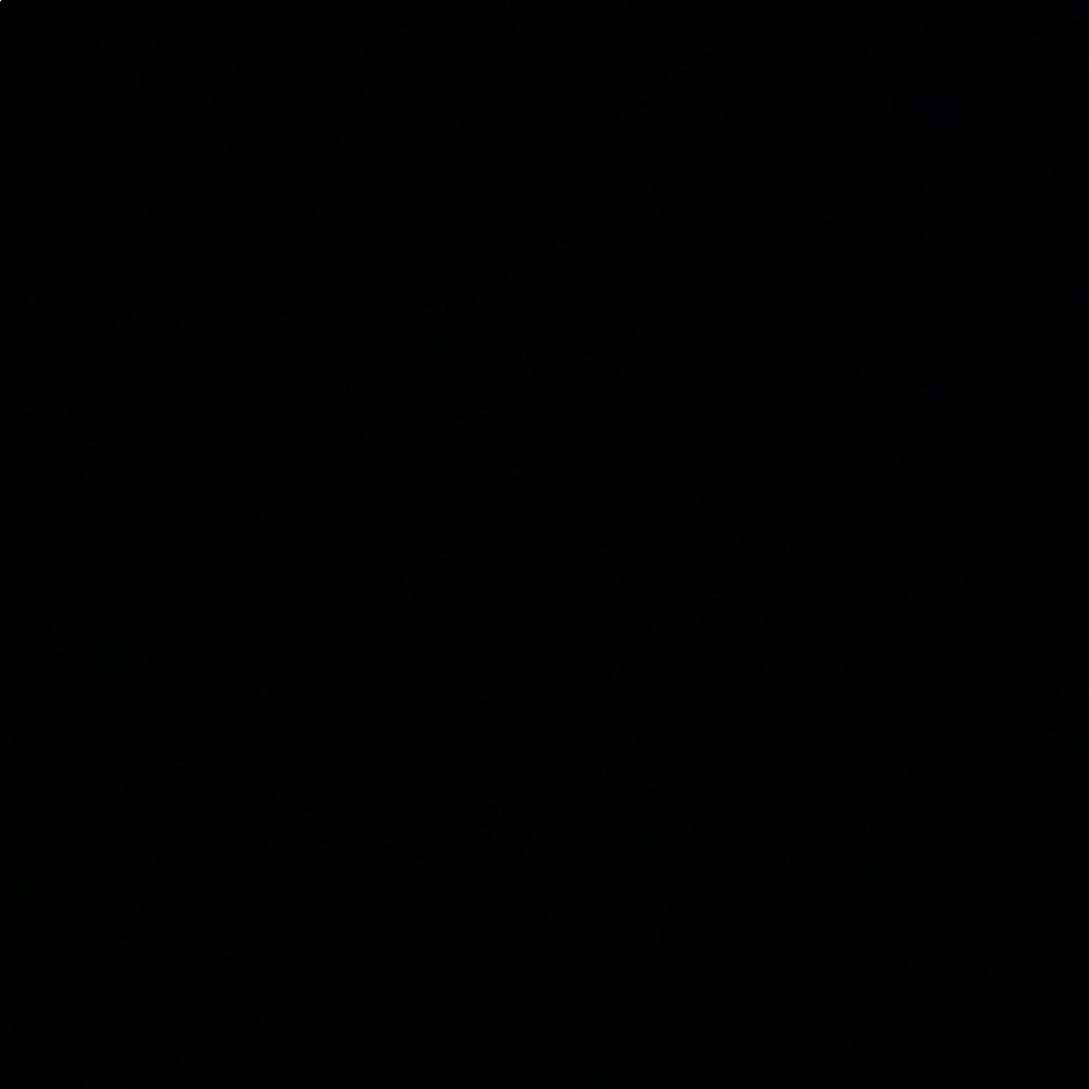 Meet your Posher, Mya